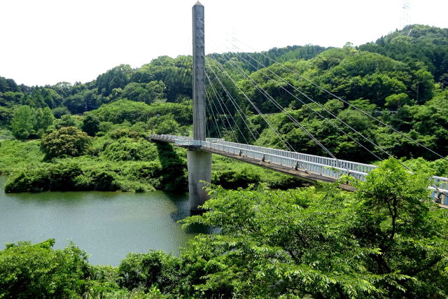 若葉緑をめぐる公園遊歩道の橋