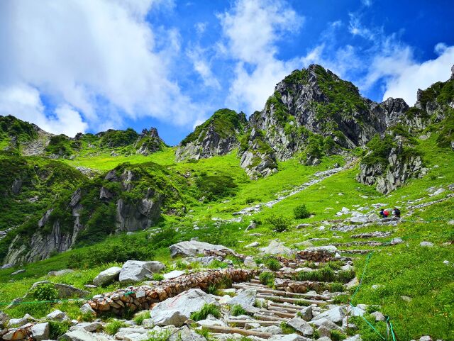 夏の駒ヶ岳