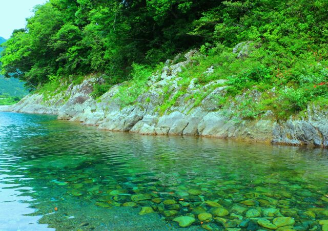 夏の清流銚子川