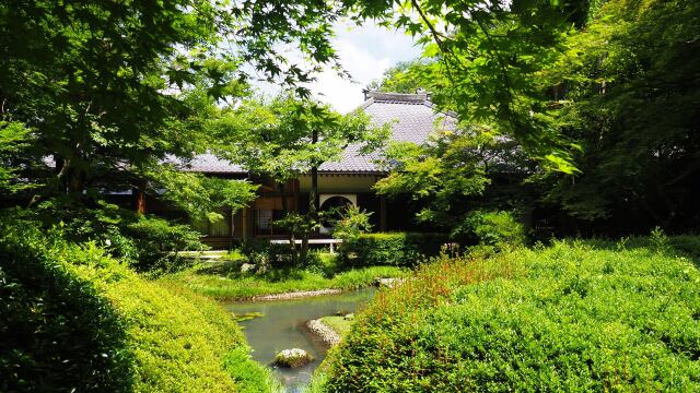 初夏の明月院