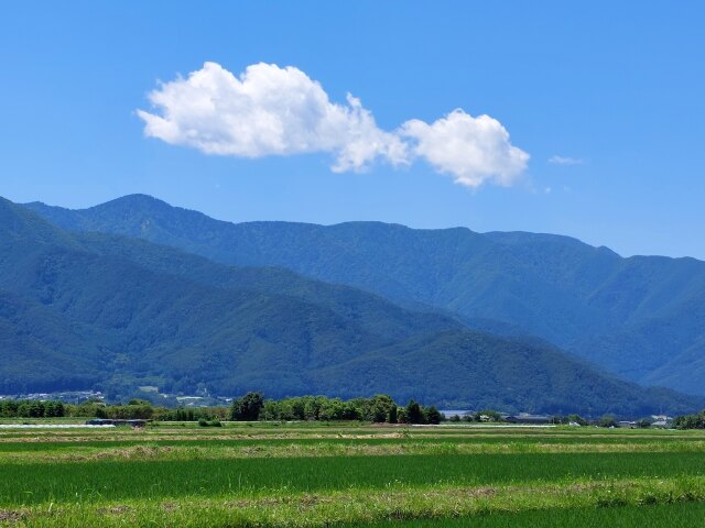 春の空気を楽しむ季節