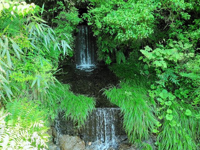 夏の清流