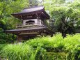 初夏の浄智寺