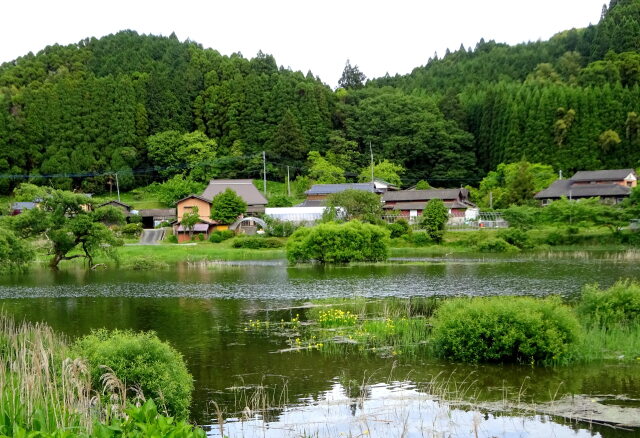 梅雨の湖 入り江の集落