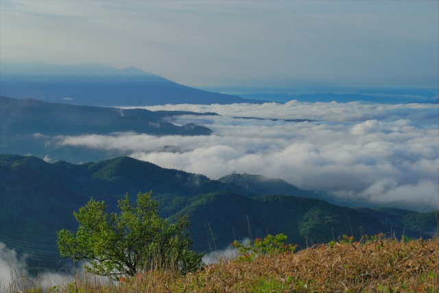 朝の高原から