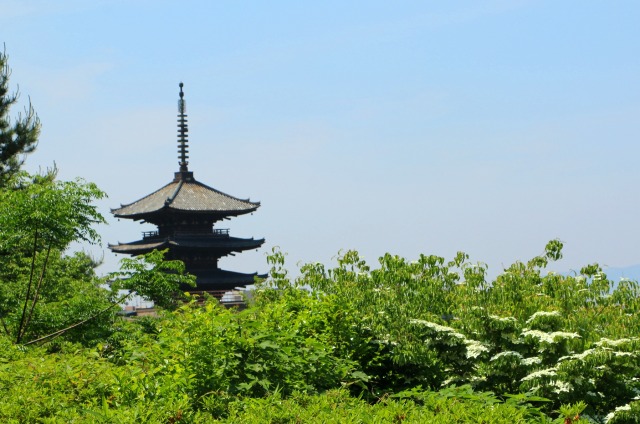 夏の京都