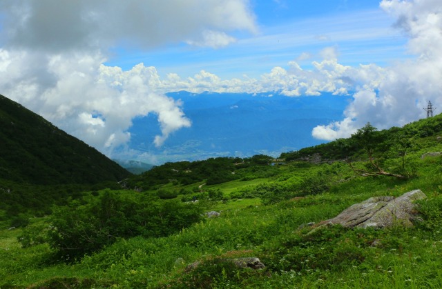 夏の駒ヶ岳