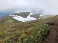 雷鳥坂にて