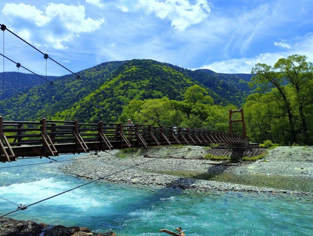 夏の増水明神橋