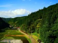 夏の里山