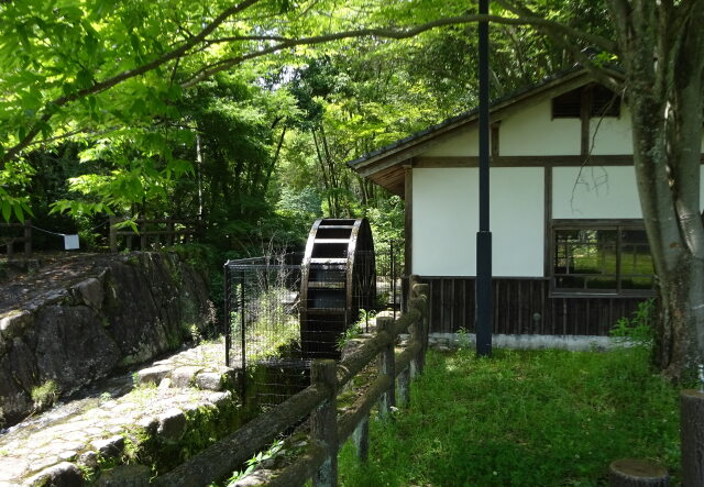 緑の中の水車小屋