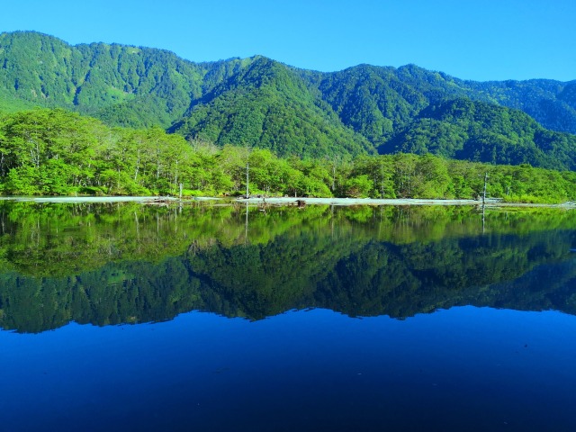 夏の大正池