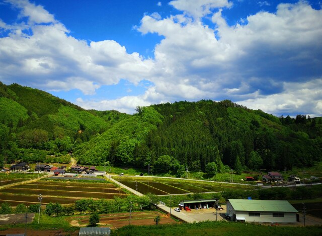 夏の里山