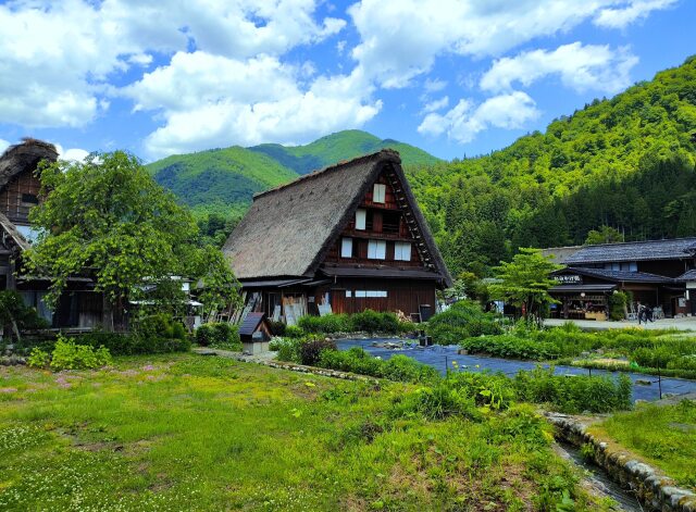 夏の白川郷