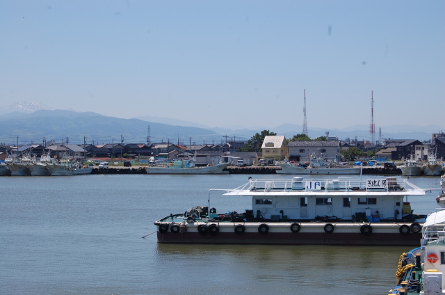 ここは東京湾？ 2023年