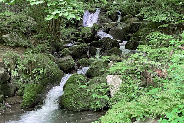 渓流 滝 初夏 9