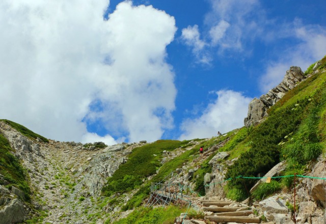 夏の駒ヶ岳