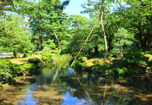 夏の兼六園