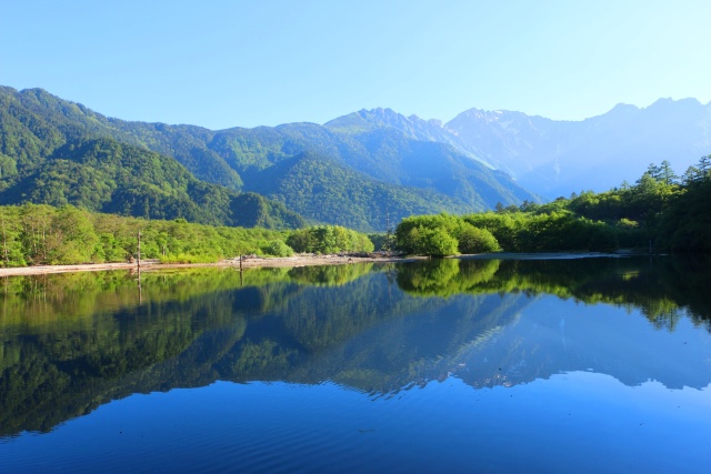 夏の大正池