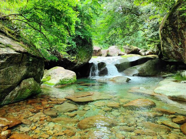 夏の清流