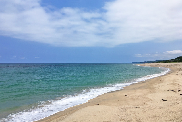 初夏の海岸 9