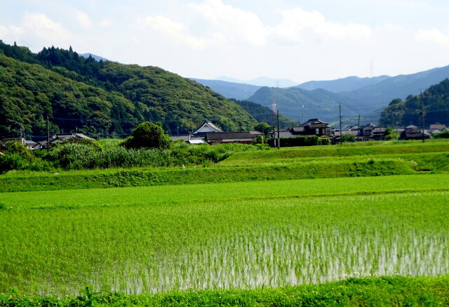 遠くに英彦山が見える山里