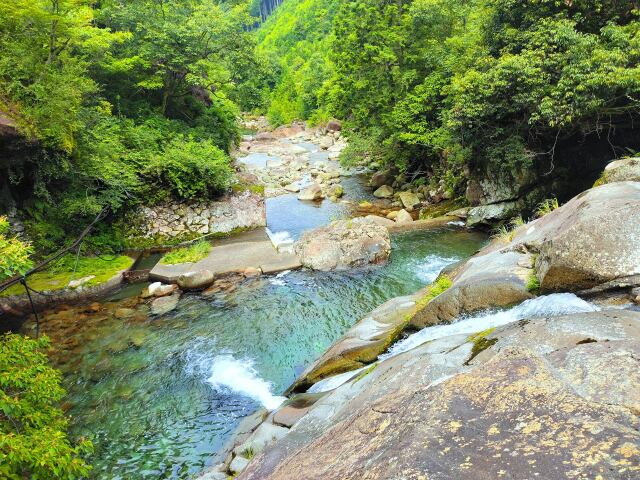 夏の清流