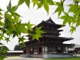 初夏の薬師寺