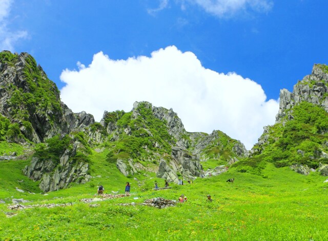 夏の駒ヶ岳