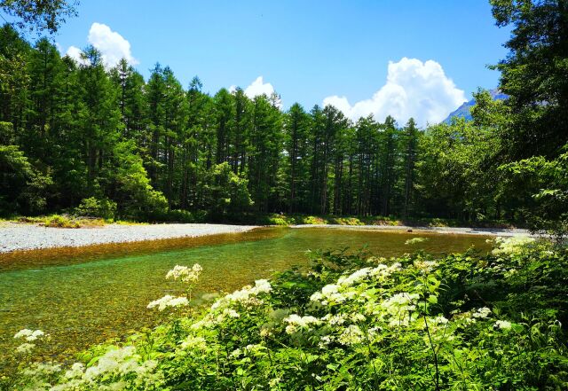 夏の上高地