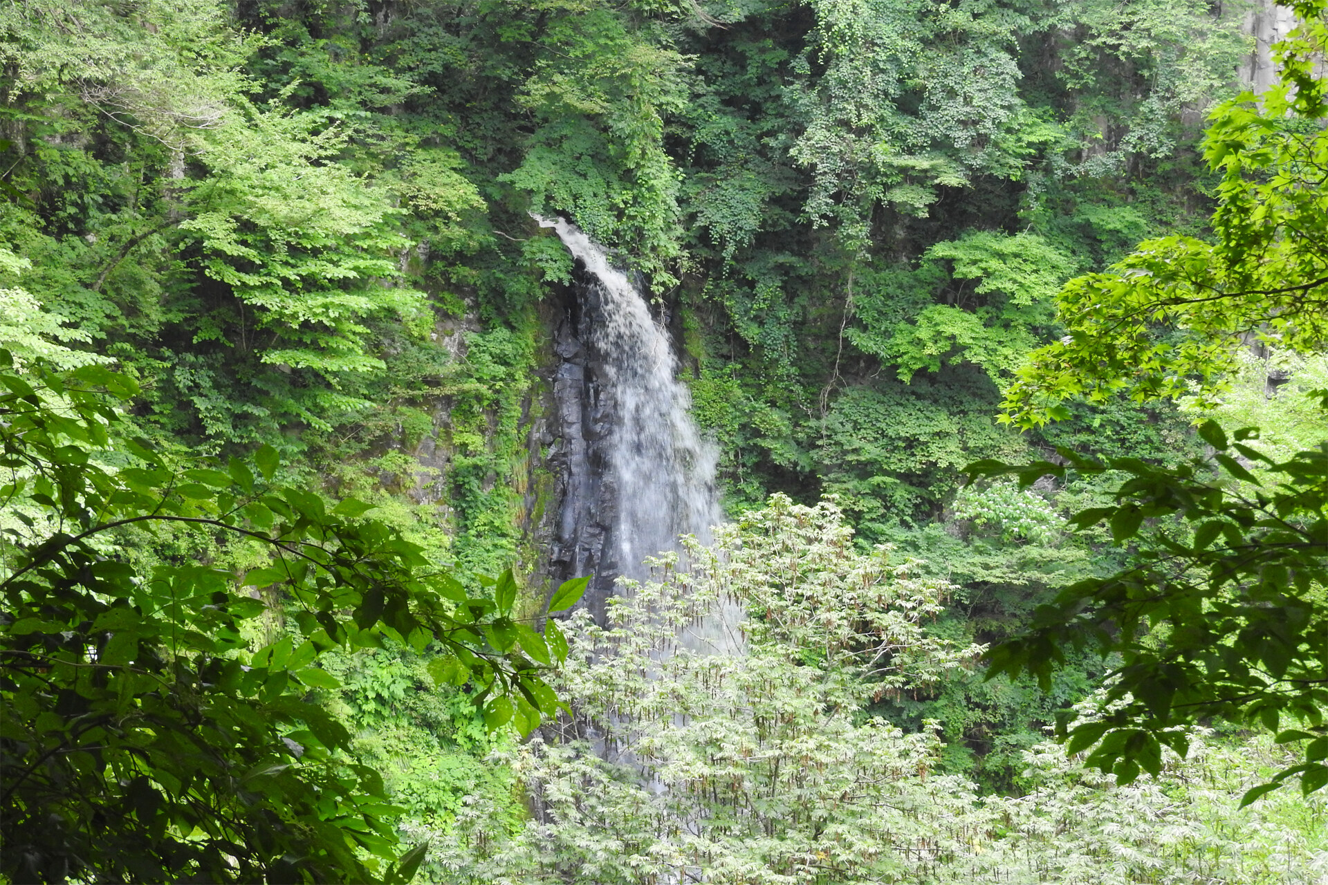 日本の風景「渓流 滝 夏 17」壁紙1920x1280 - 壁紙館