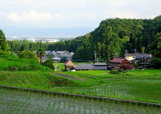 梅雨の季節 山村集落