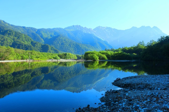 夏の大正池