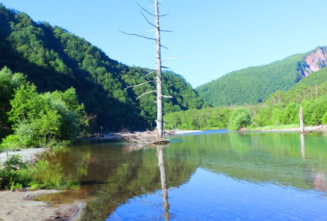 夏の大正池