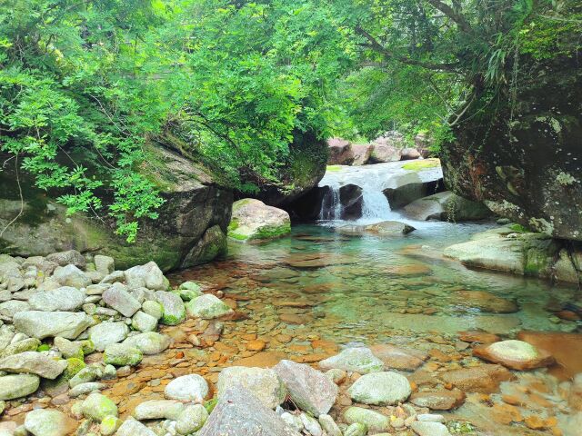 夏の清流