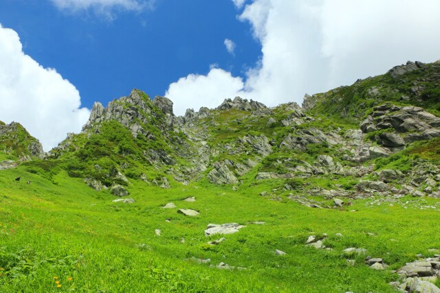 夏の駒ヶ岳