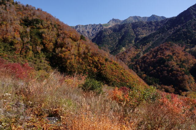 晩秋の小池新道にて