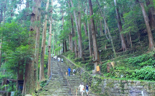 夏の熊野古道