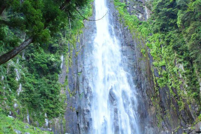 夏の那智の滝