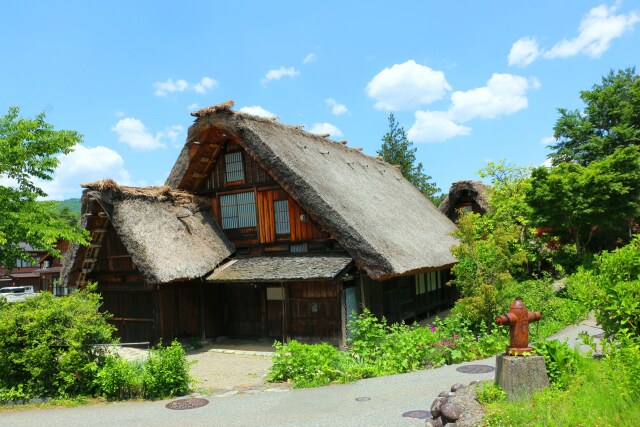 夏の白川郷