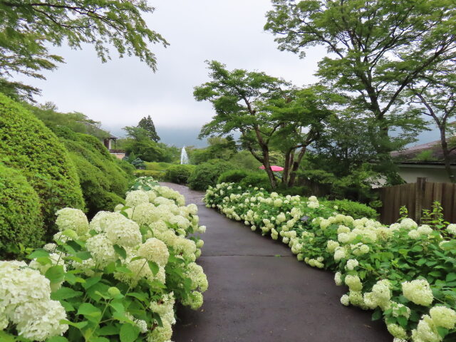 強羅公園