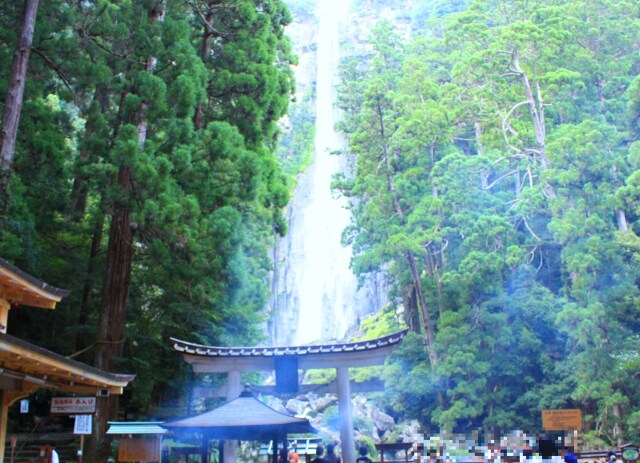 夏の那智の滝