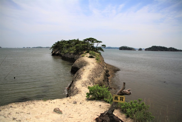 松島湾 馬の背