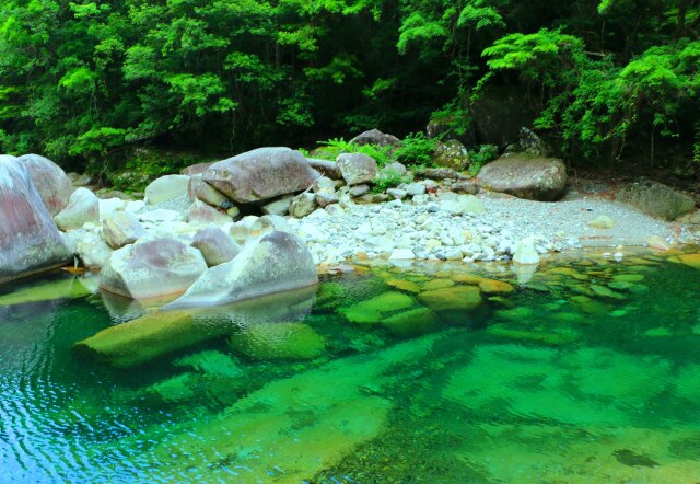 夏の清流