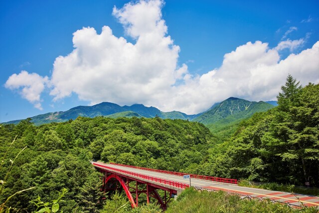 夏の東沢大橋