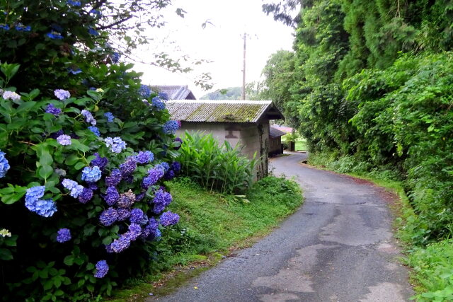 山里の田舎道