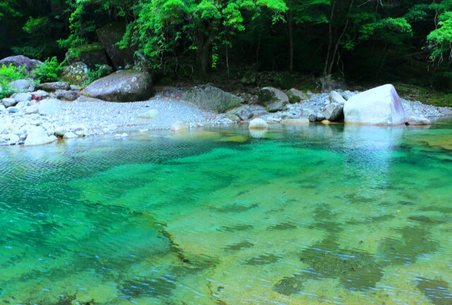 夏の清流