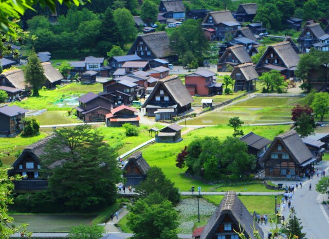 夏の白川郷