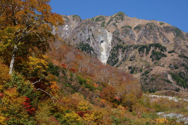 秋の大ノマ岳