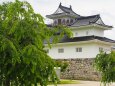 初夏の富山城址公園